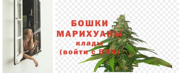 трава Абаза