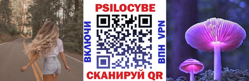 Псилоцибиновые грибы Psilocybe купить сайты Катайск